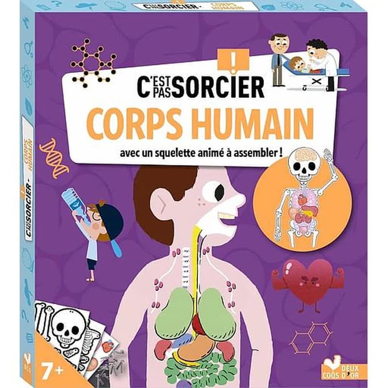 C'est pas sorcier corps humain : avec un squelette animé à assembler ! : [Image à découper]