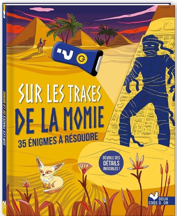 Sur les traces de la momie : 36 énigmes à résoudre : dévoile des détails invisibles