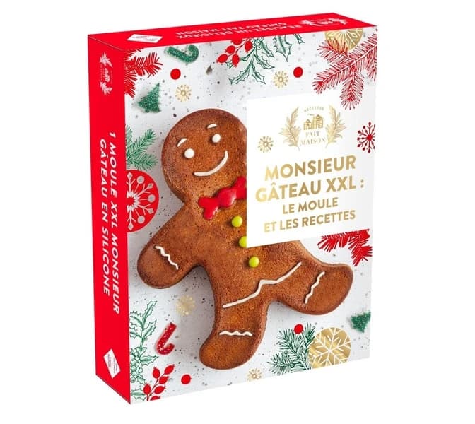Monsieur gâteau XXL : Le moule et les recettes