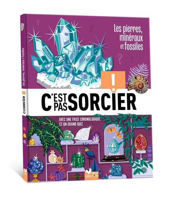 Les pierres, minéraux et fossiles : c'est pas sorcier !