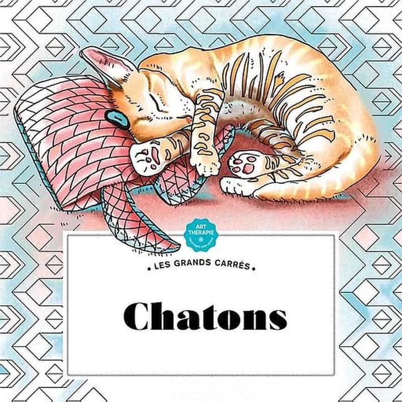 Chatons : les grands carrés Art-thérapie : [Album à colorier]