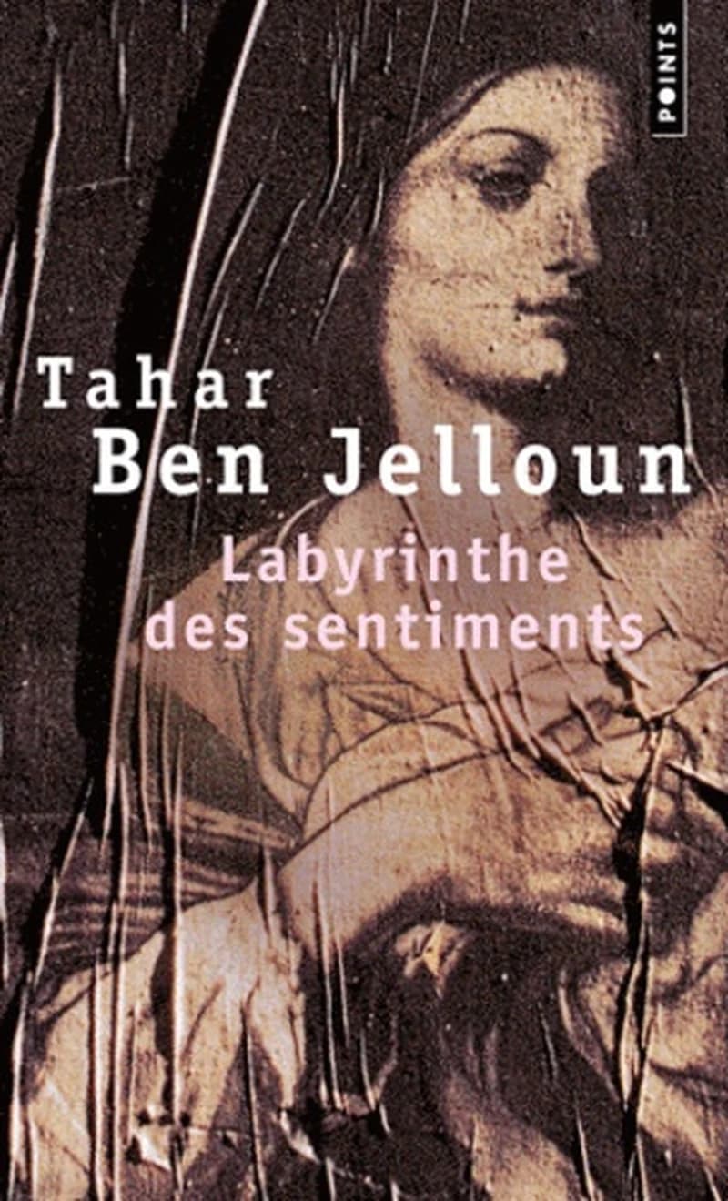 Labyrinthe des sentiments : roman