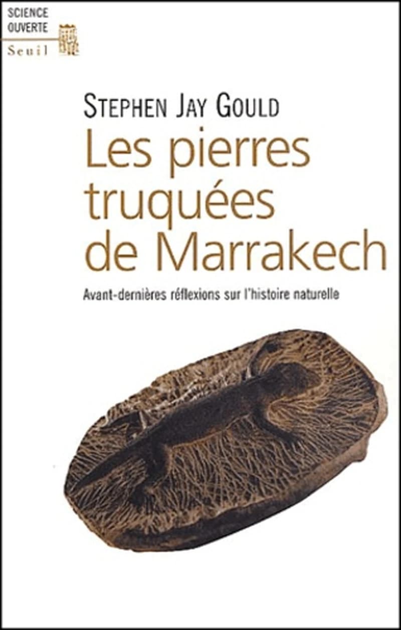 Les pierres truquées de Marrakech : avant-dernières réflexions sur l'histoire naturelle
