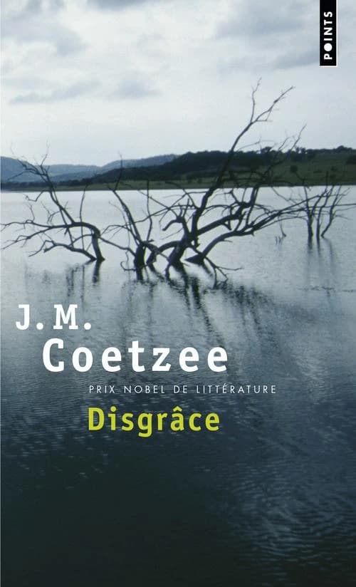 Disgrâce : roman
