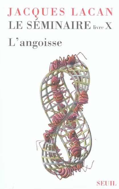 Le séminaire. Livre X, L'angoisse : [1962-1963]