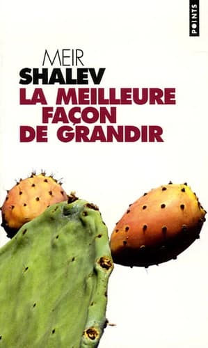 La meilleure façon de grandir : roman