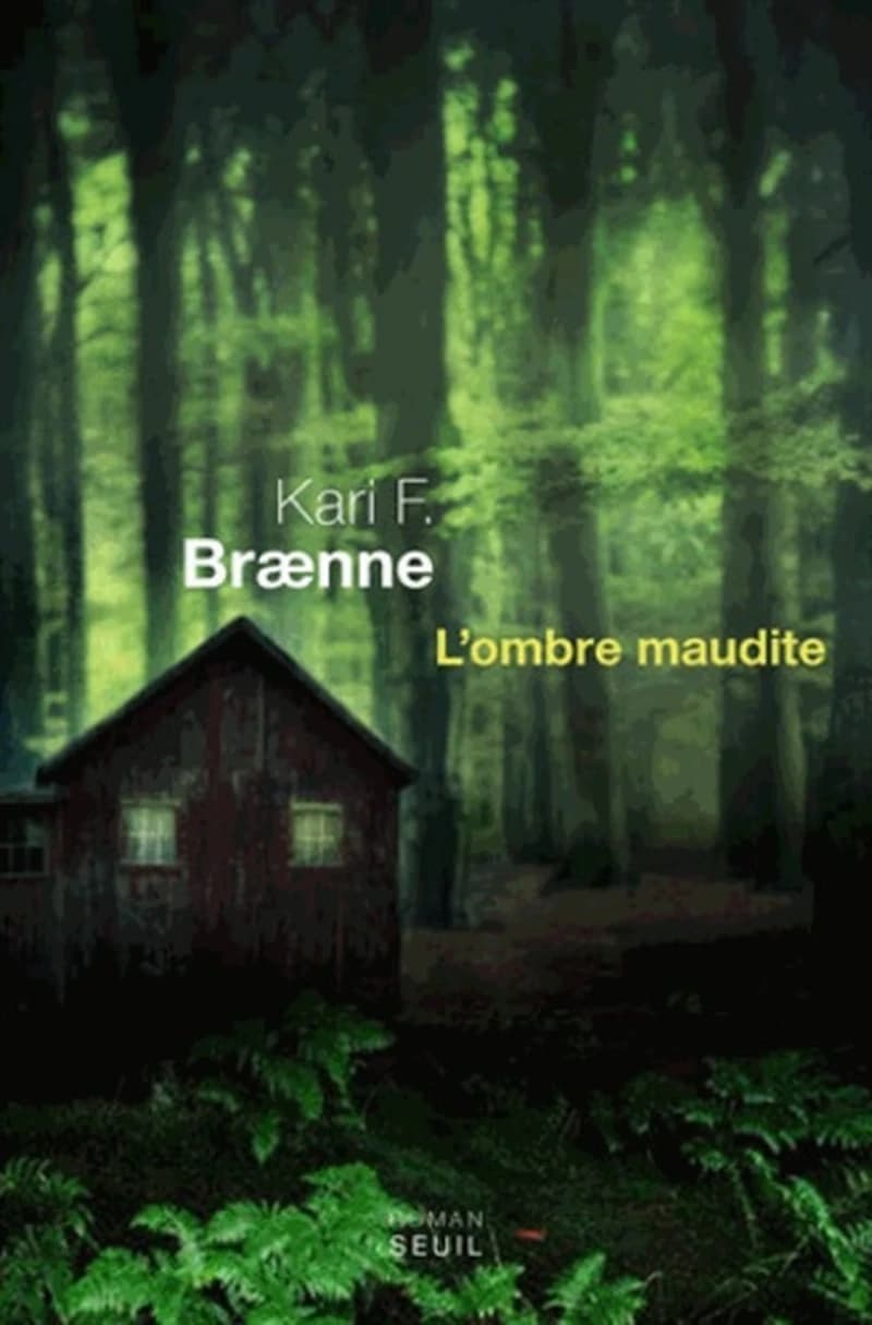 L'ombre maudite : roman