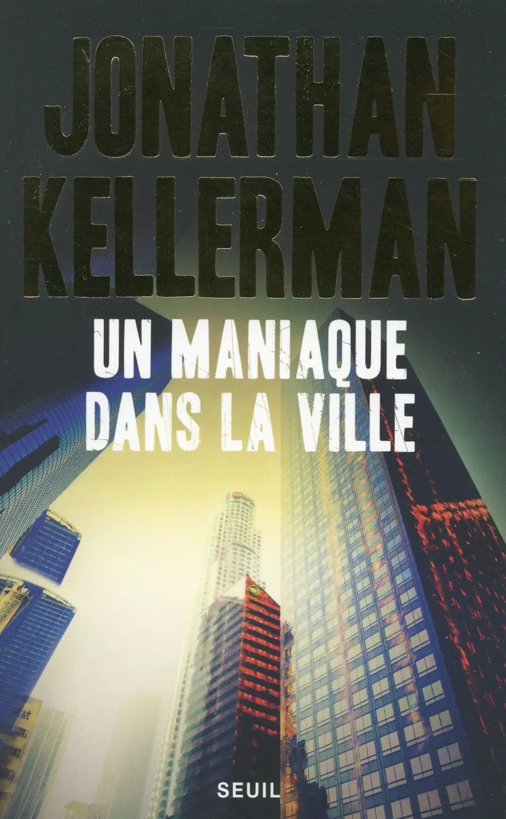 Un maniaque dans la ville : roman
