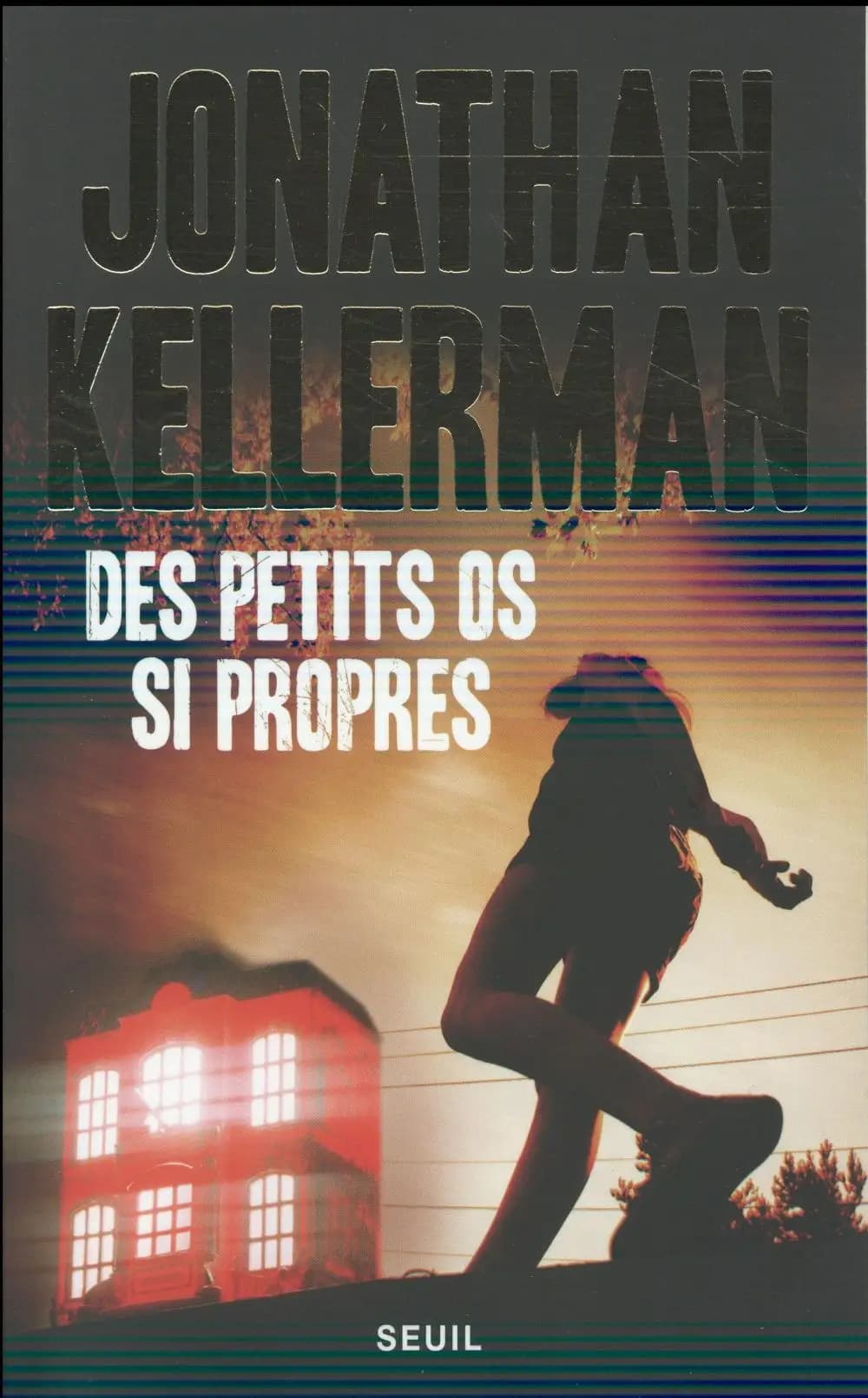 Des petits os si propres : roman