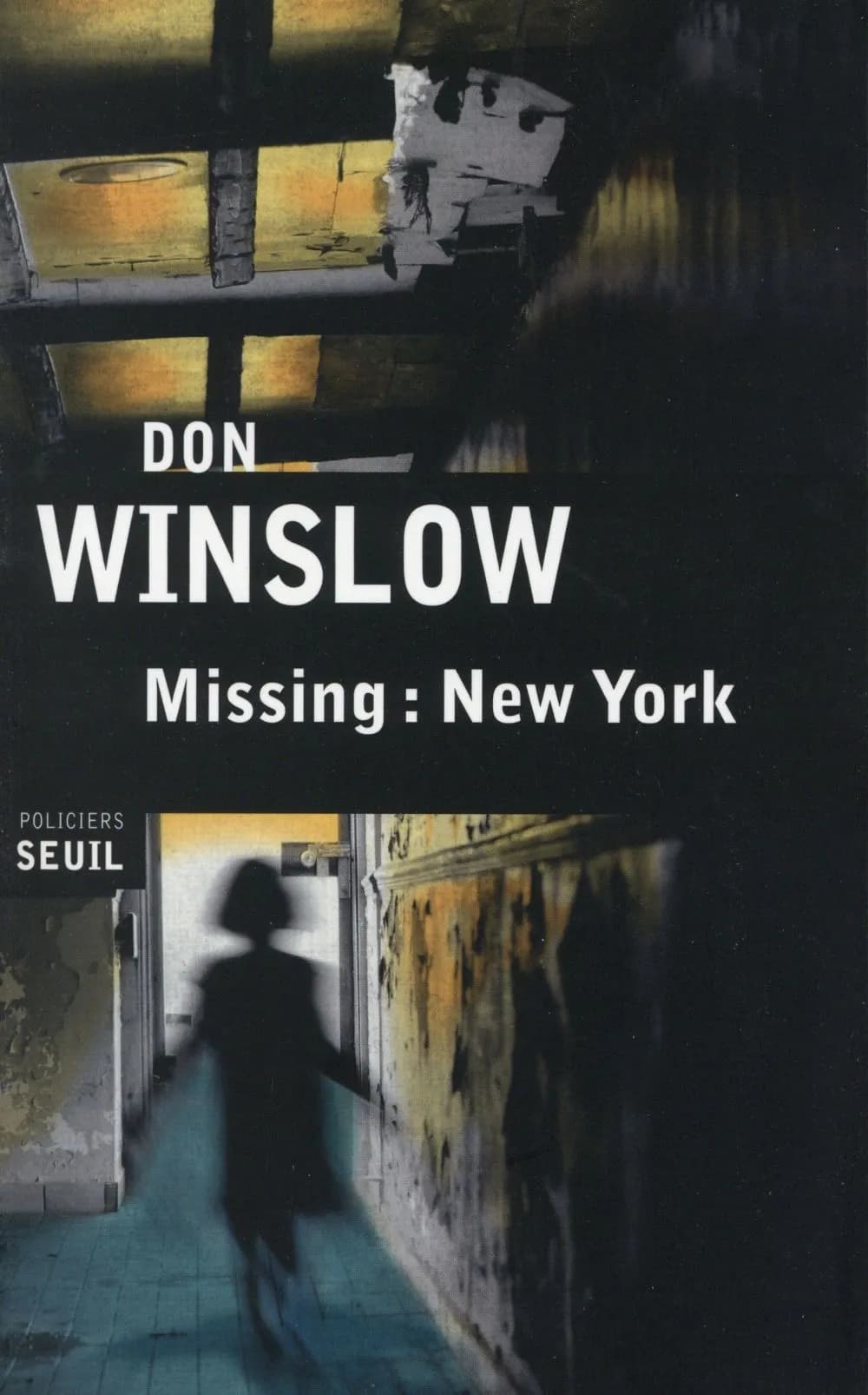Missing : New York : roman