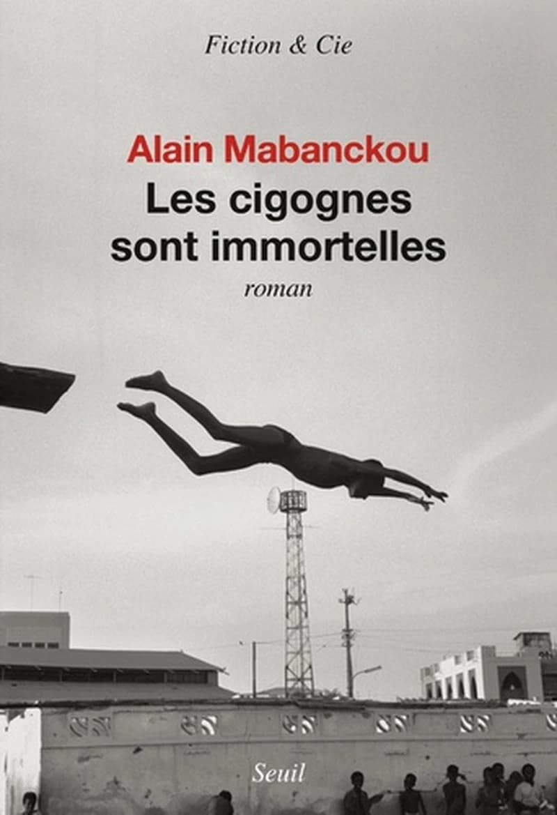 Les cigognes sont immortelles : roman