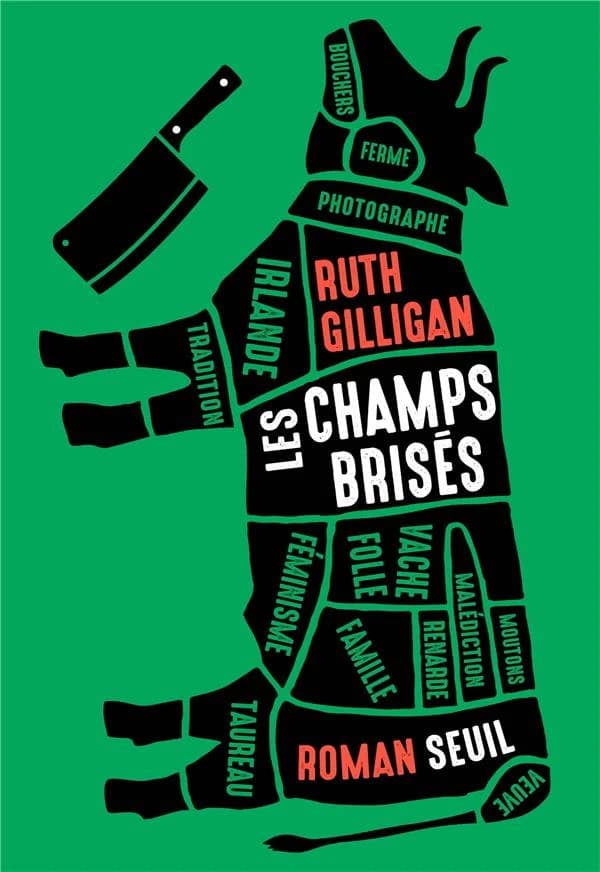 Les champs brisés : roman