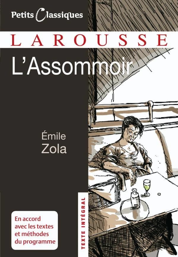 L'assommoir : roman