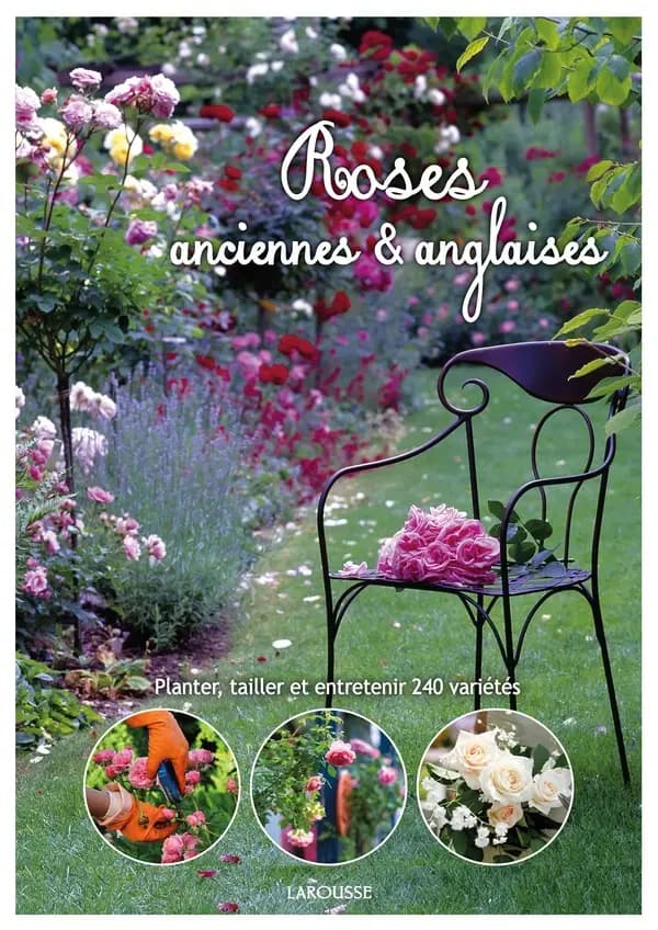 Roses anciennes & anglaises : Planter, taillet et entretenir 240 variétés