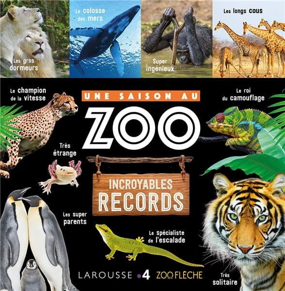 Incroyables records