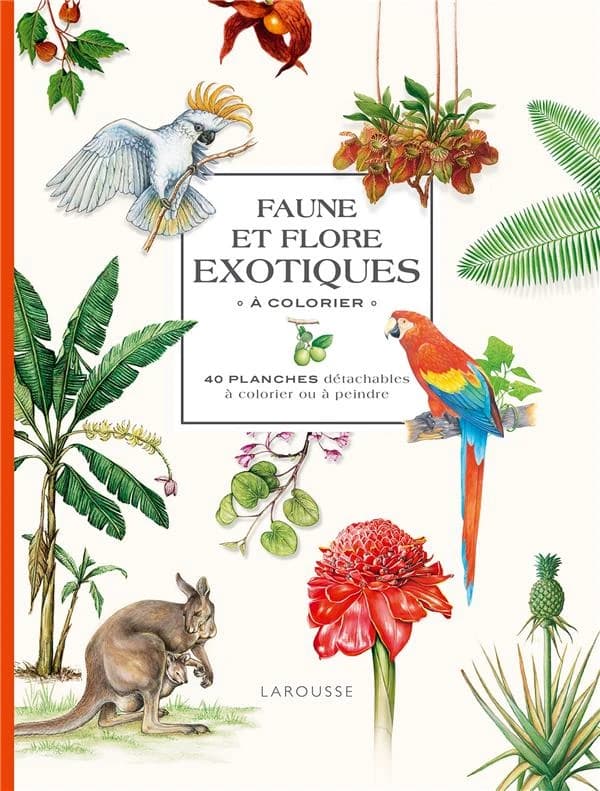Faune et flore exotiques à colorier : 40 planches détachables à colorier ou à peindre : [Album à colorier]