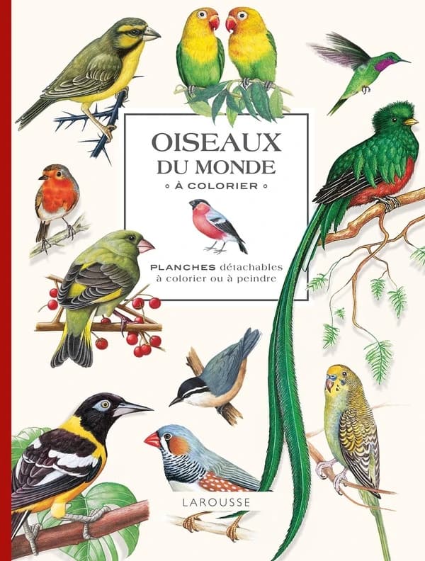 Oiseaux du monde à colorier : planches détachables à colorier ou à peindre : [Album à colorier]