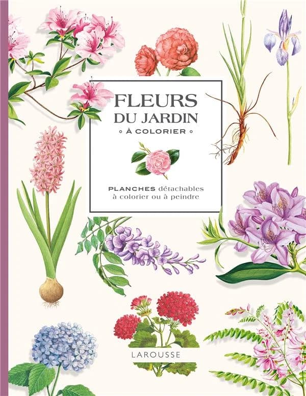 Fleurs du jardin à colorier : planches à colorier ou à peindre : [Album à colorier]