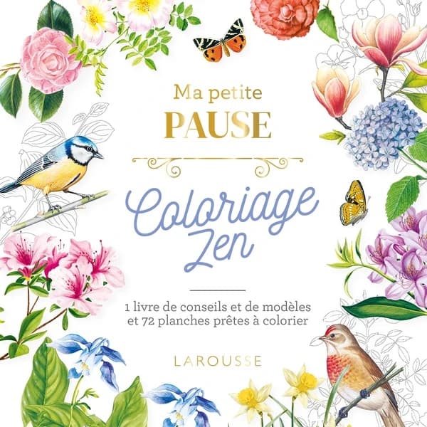 Ma petite pause : coloriage zen : [Album à colorier]