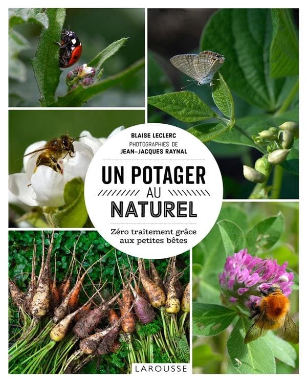 Un potager au naturel : zéro traitement grâce aux petites bêtes