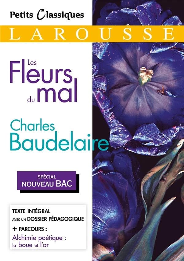Les fleurs du mal