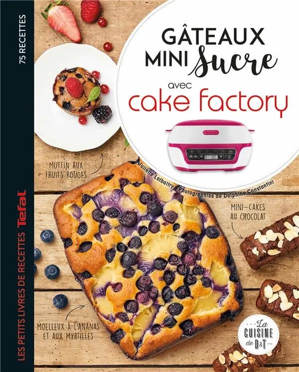 Gâteaux mini sucre avec Cake factory