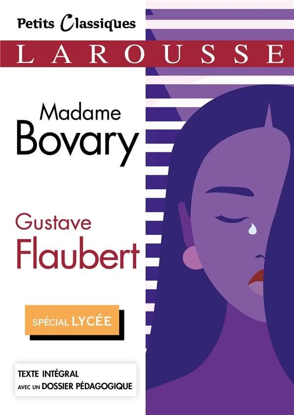Madame Bovary : roman