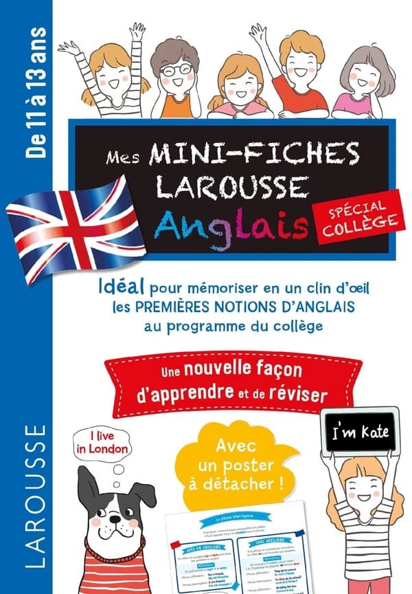 Mes mini fiches Larousse ; anglais ; spécial collège