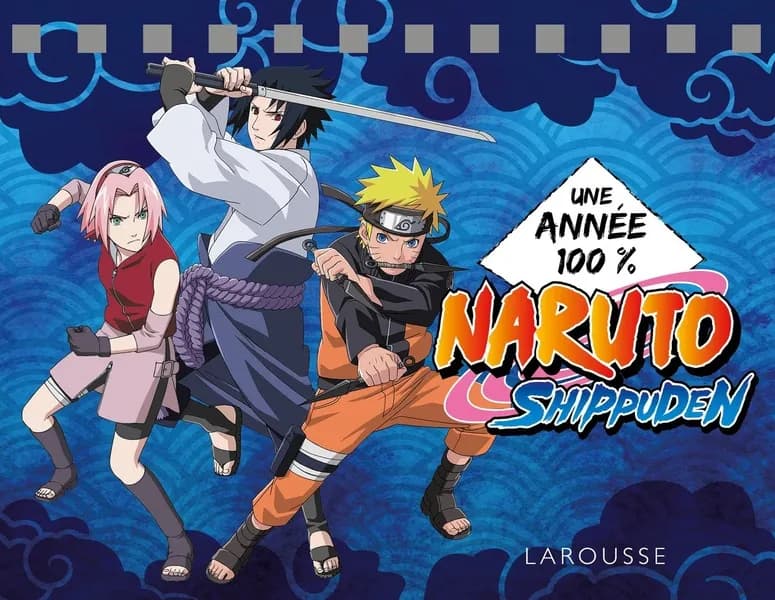 Naruto Shippuden : une année 100%
