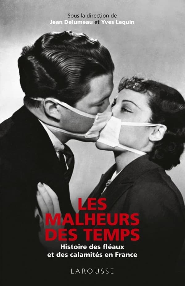 Les malheurs des temps : histoire des fléaux et des calamités en France (Nouvelle éd. augmentée) sous la direction de Jean Delumeau,... et Yves-Claude Lequin,...
