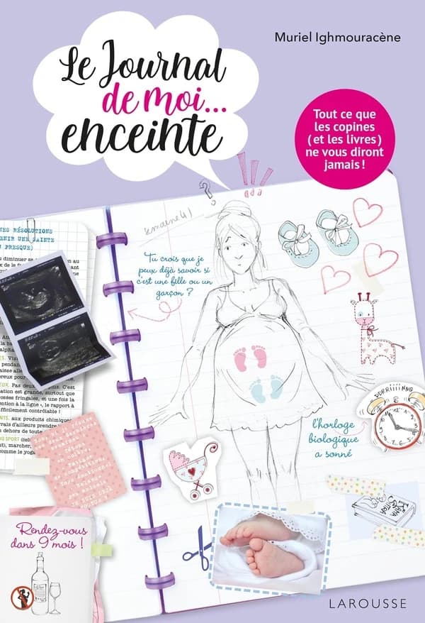 Le journal de moi, enceinte
