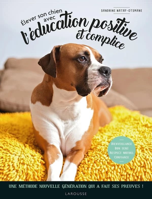 Élever son chien avec l'éducation positive et complice