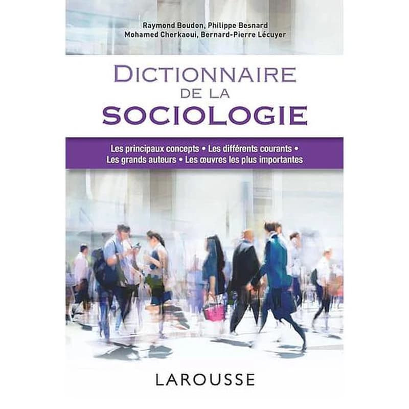 Dictionnaire de la sociologie ([Éd. largement refondue et augmentée]) Raymond Boudon, Philippe Besnard, Bernard Pierre Lécuyer... [et al.]