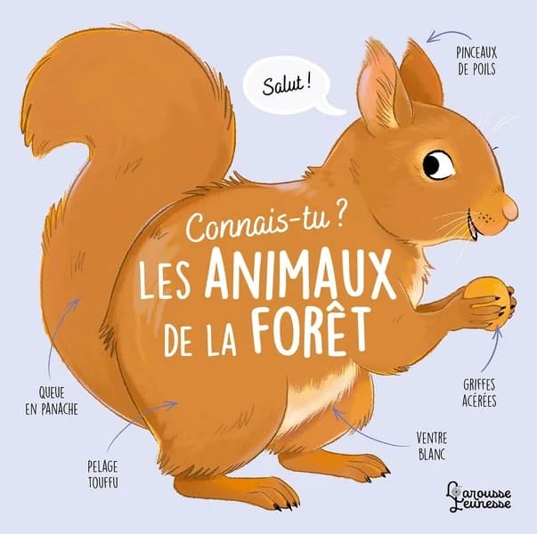 Les animaux de la forêt