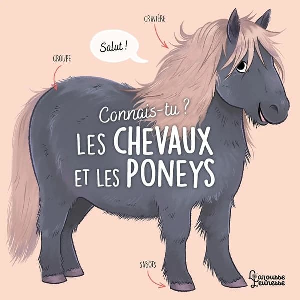 Les chevaux et les poneys