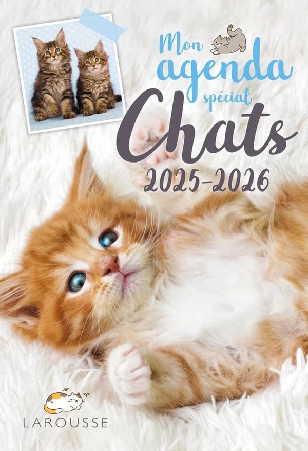 Mon agenda spécial Chats (édition 2025