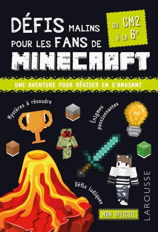 Défis malins pour les fans de Minecraft ; Du CM2 à la 6e