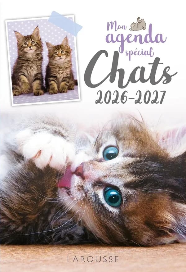 Mon agenda spécial Chats (édition 2026