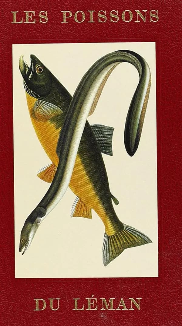 Les poissons du Léman ; fiches signalétiques et recettes culinaires des espéces comestibles