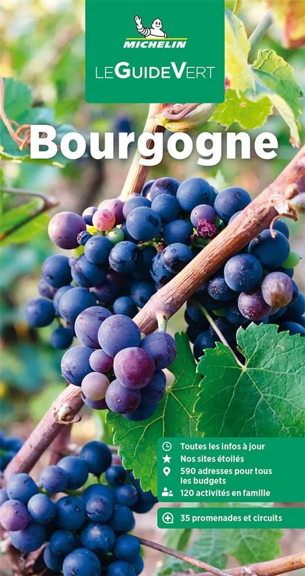 Bourgogne (Parution 2023) Michelin