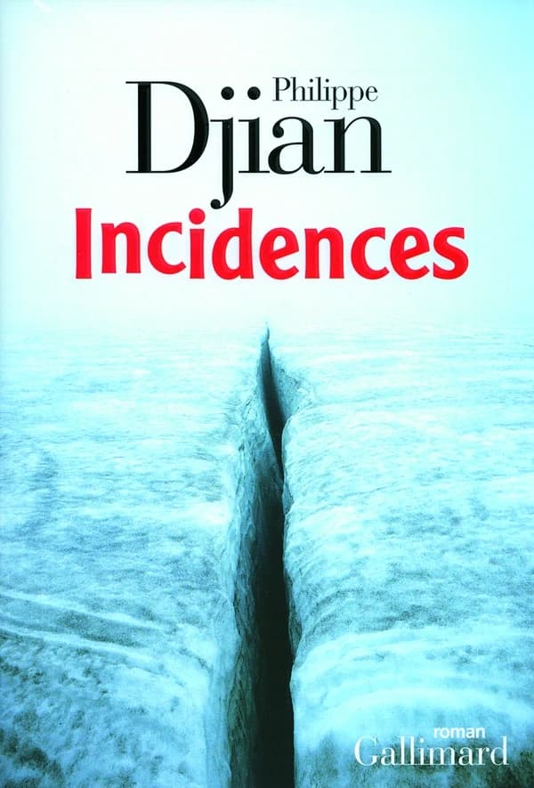 Incidences : roman