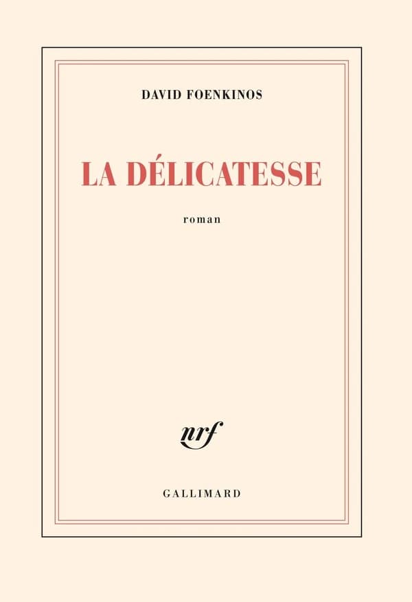 La délicatesse : roman