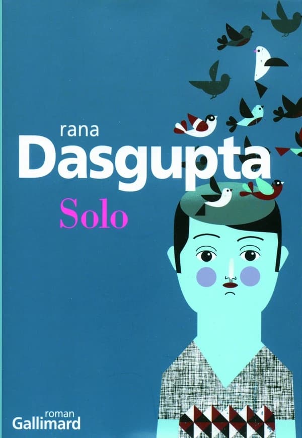 Solo : roman