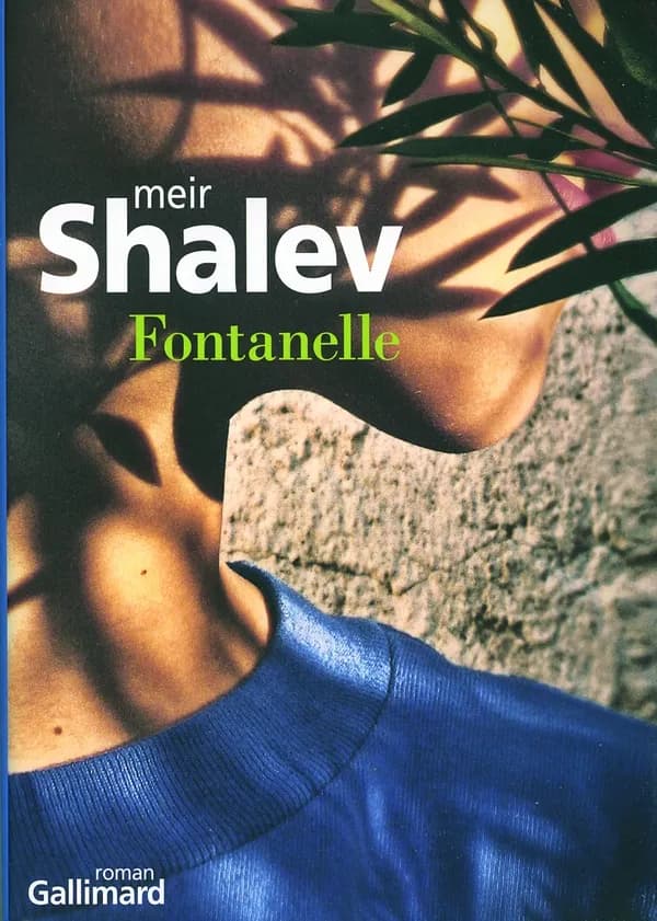 Fontanelle : roman