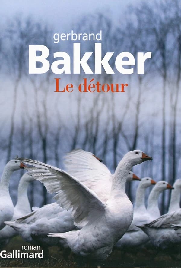 Le détour : roman