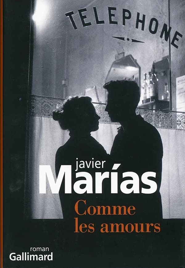 Comme les amours : roman