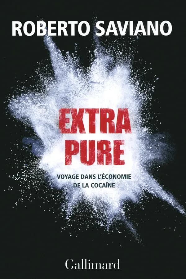 Extra pure : voyage dans l'économie de la cocaïne