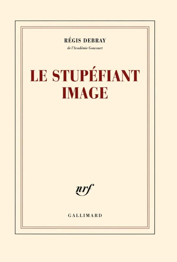 Le stupéfiant image : de la grotte Chauvet au Centre Pompidou