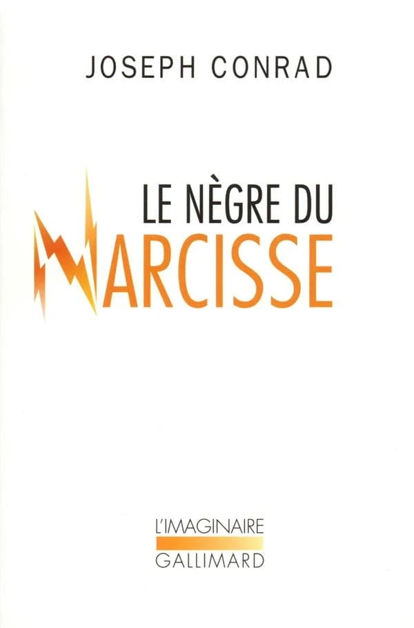Le Nègre du "Narcisse" : histoire de gaillard d'avant