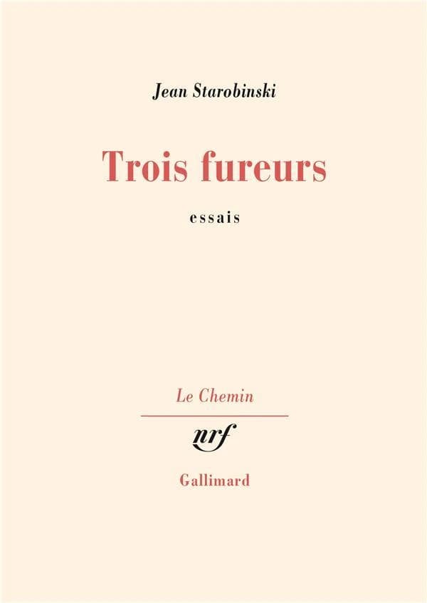 Trois fureurs : essais